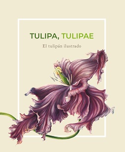 Tulipa tulipae: el tulipán ilustrado