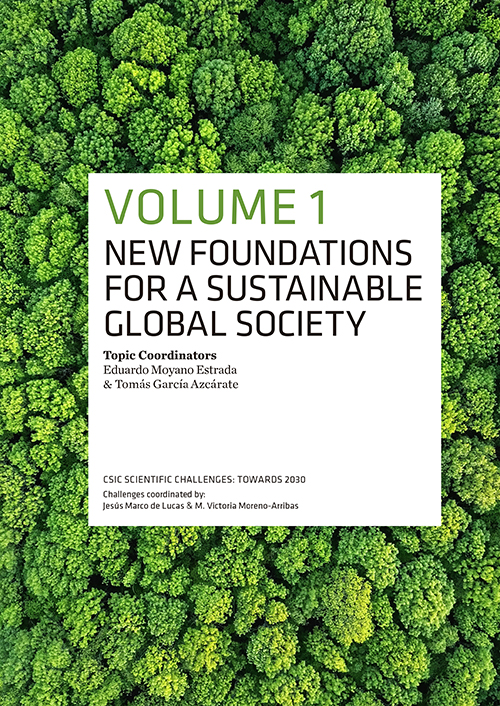 New foundations for a sustainable global society