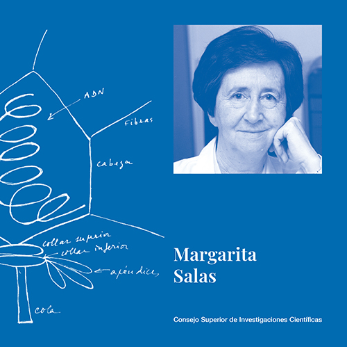 Margarita Salas : investigadora, docente, divulgadora, mentora, académica, emprendedora, directiva y familiar