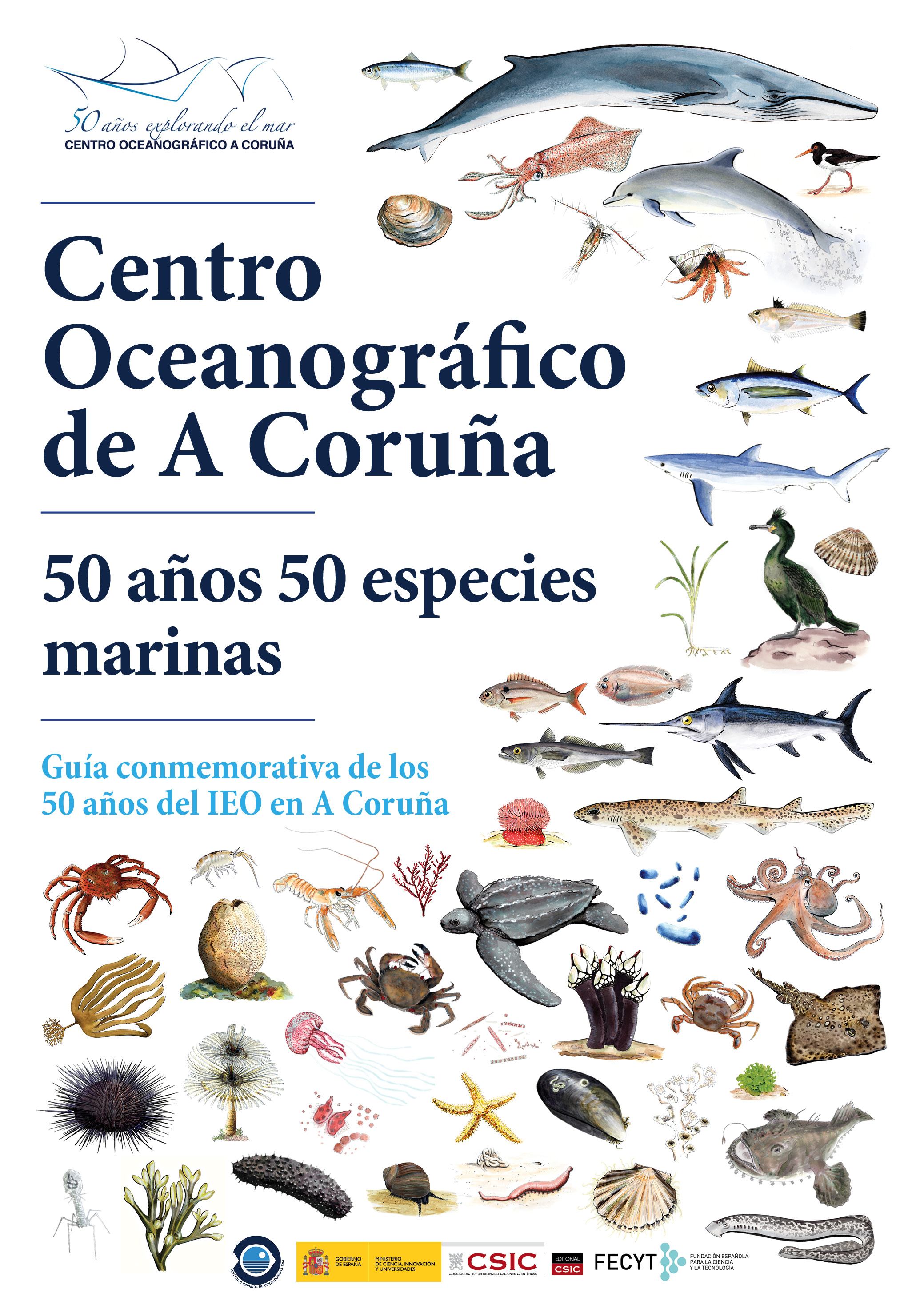 Centro Oceanogr�fico de A Coru�a : 50 a�os, 50 especies marinas : gu�a conmemorativa de los 50 a�os del IEO en A Coru�a
