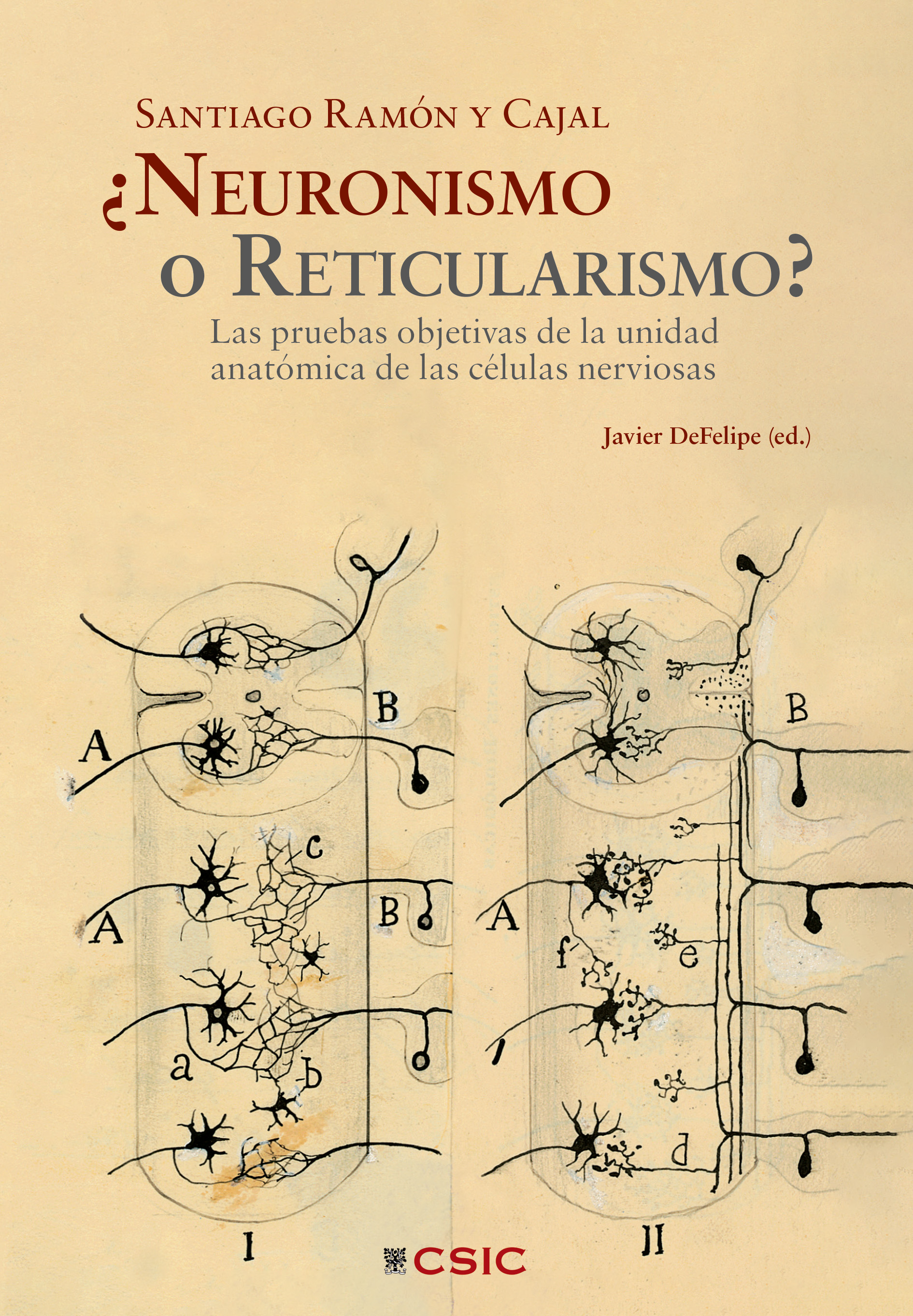 �Neuronismo o reticularismo? : las pruebas objetivas de la unidad anat�mica de las c�lulas nerviosas