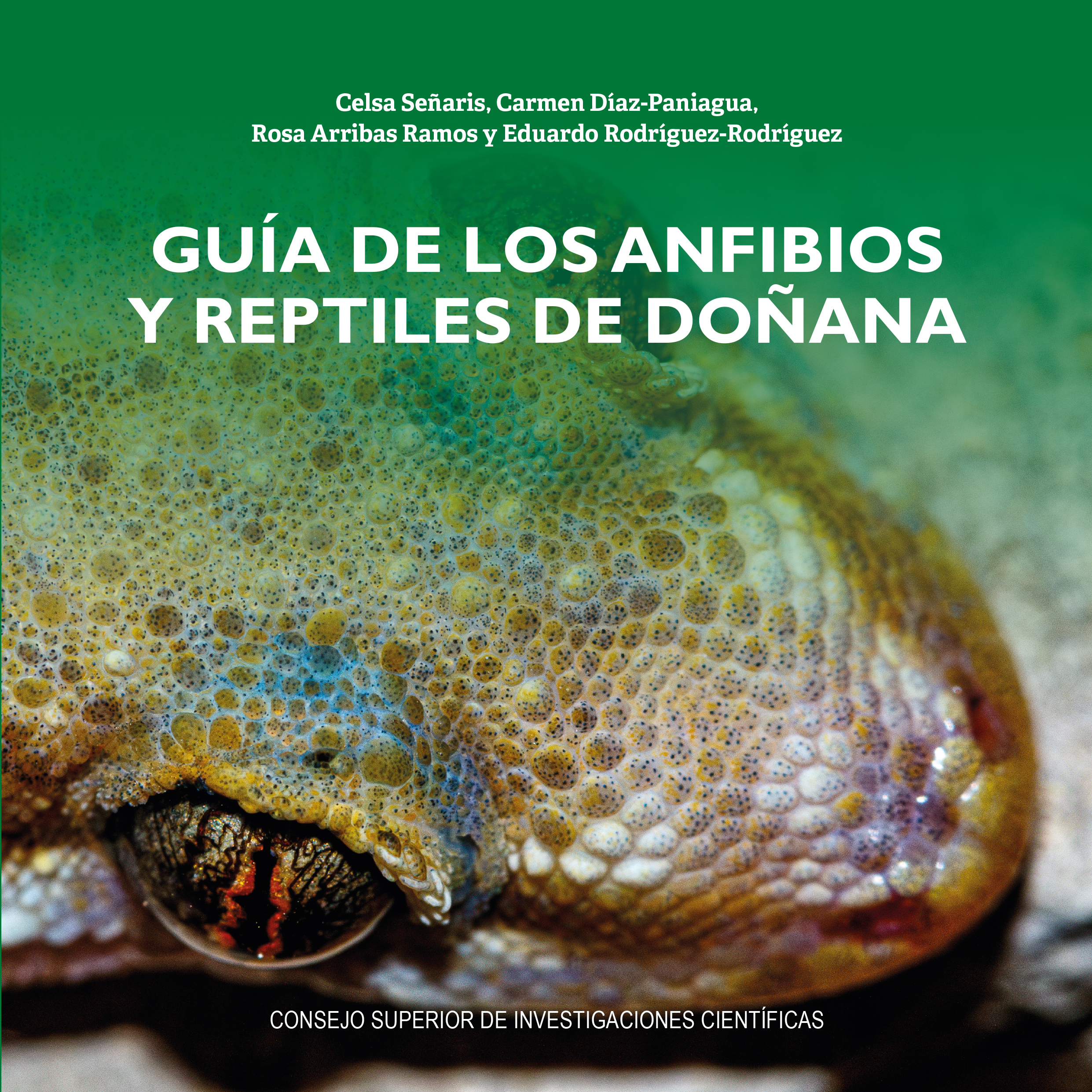 Gu�a de los anfibios y reptiles de Do�ana