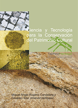 Science and technology for the conservation of cultural heritage